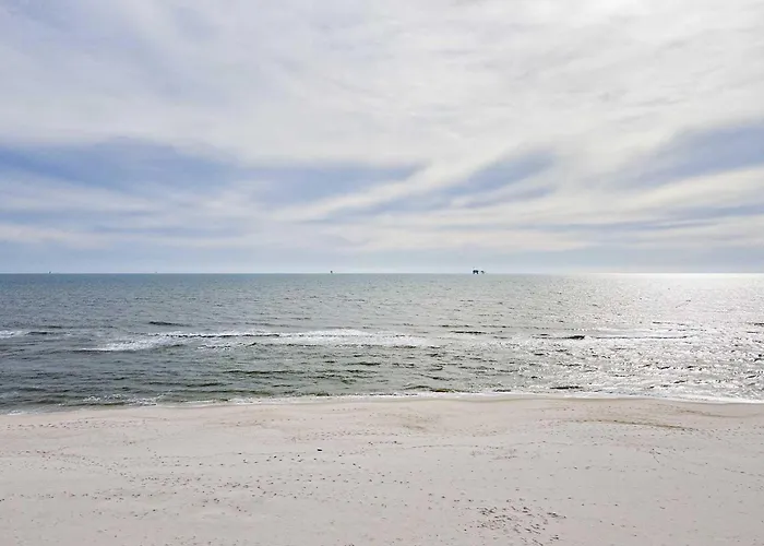 Coast Is Clear * Gulf Shores